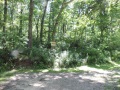 Jerdon Listing H3900 9 +/- Wooded Acres Near Twin Lakes