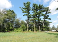 Jerdon Listing H4051 2.77 +/- Acres M-62 West Dowagiac