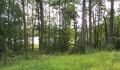 Jerdon Listing J3854 Skyhawk Lakefront 6 Acres & Pole Barn