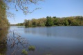 Jerdon Listing J3939 Millpond Lakefront Acreage