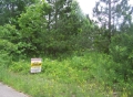 Jerdon Listing L3843 Priest Lakefront Lot